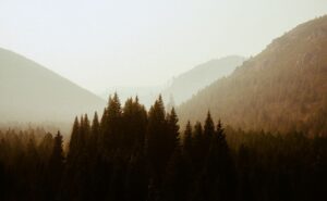 Neblige Berglandschaft mit Wald im Morgendunst, Sinnbild für Angst ohne erkennbaren Grund